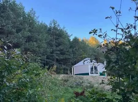 Restart Kaszuby - Jurta W Sercu Kaszub Holiday home