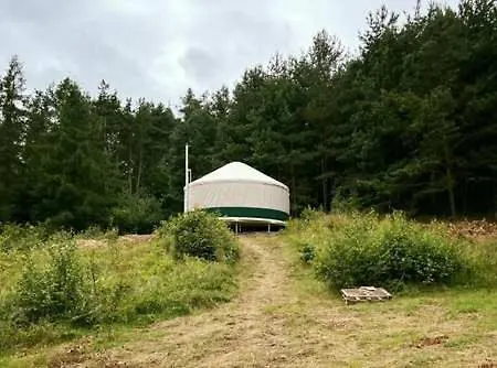 Restart Kaszuby - Jurta W Sercu Kaszub Holiday home Miechucinskie Chrosty